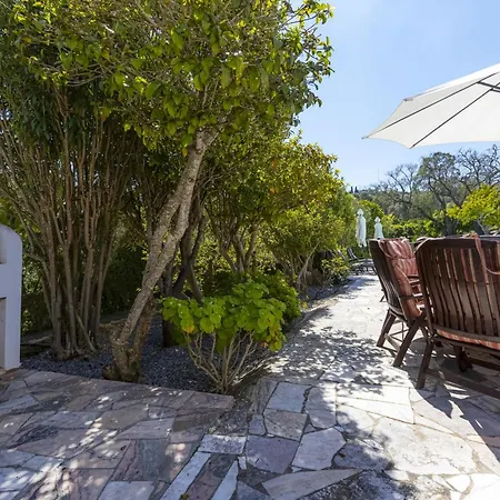 Pool In Beautiful Quinta - Qs05 라고스